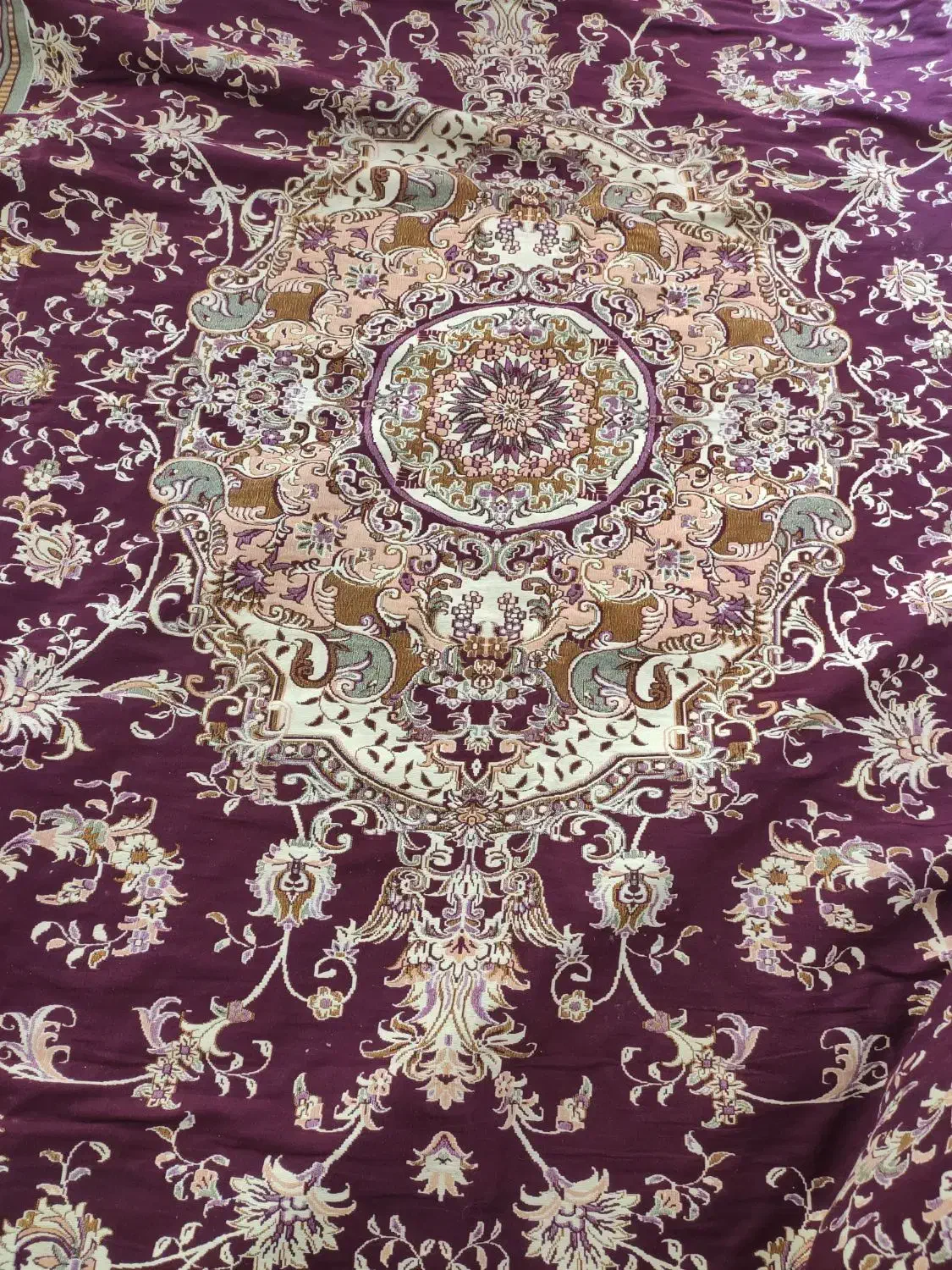 روفرشی ۱۲ متری|روفرشی|شیراز, نصر|دیوار