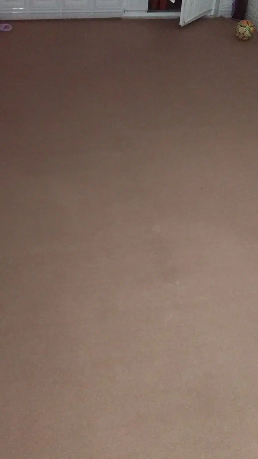 موکت|موکت|گنبد کاووس, |دیوار