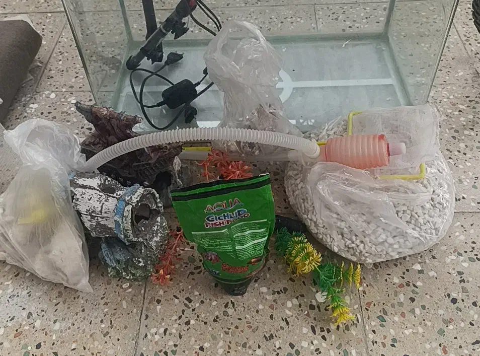 آکواریوم|ماهی|ایلام, |دیوار