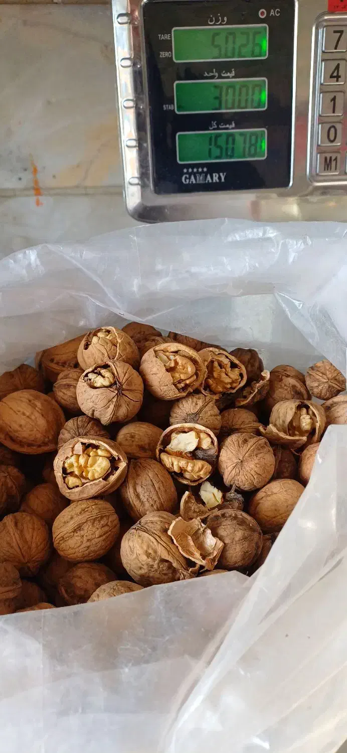 گردو کاغذی مغز پر و سفید|خوردنی و آشامیدنی|سجاس رود, |دیوار