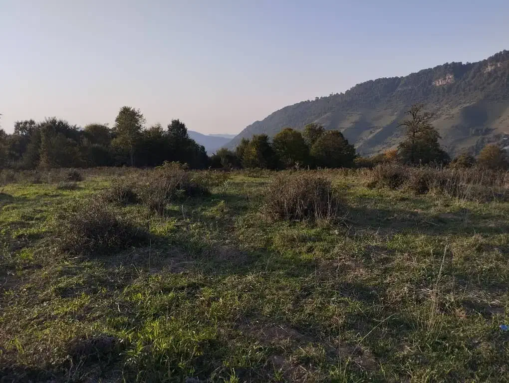 زمین کشاورزی5هکتار|فروش دفتر صنعتی، کشاورزی، تجاری|فریم, |دیوار