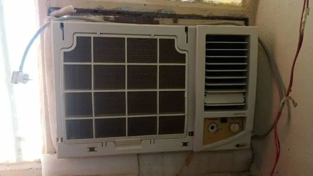 بخاطر جابجایی جاکم بود جابه فروش می‌رسد|عمده‌فروشی|کنارک, |دیوار