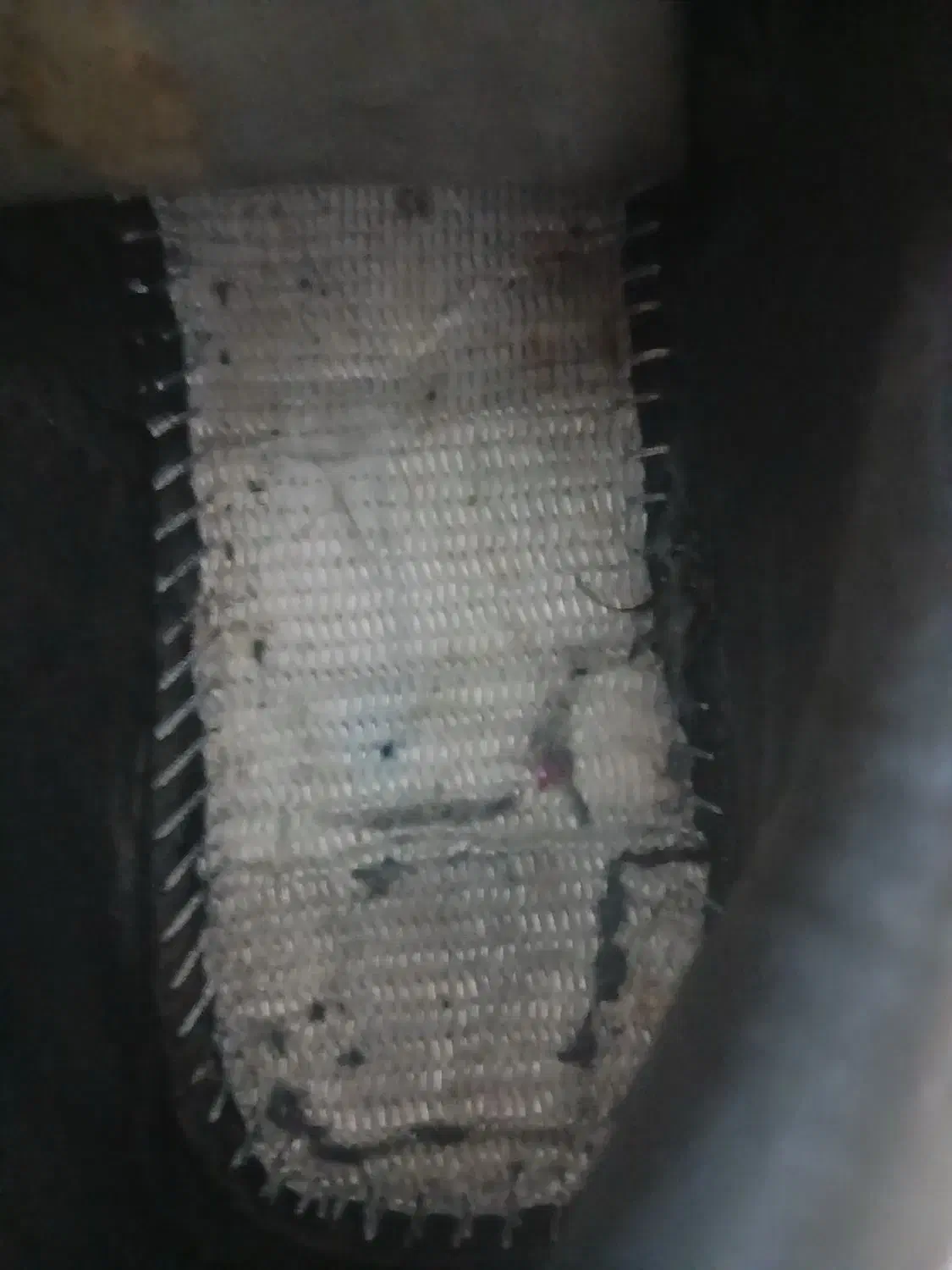 کتونی نایک سایز ۴۲ و نایک سفید ۴۲|کیف، کفش، کمربند|تهران, زرکش|دیوار