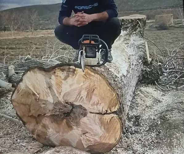 خرید و فروش چوب|خدمات باغبانی و درختکاری|ملایر, |دیوار