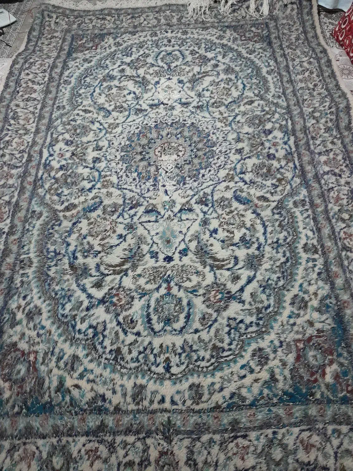 فرش دستبافت نو پرداخت نشده|فرش|مشهد, عبادی|دیوار