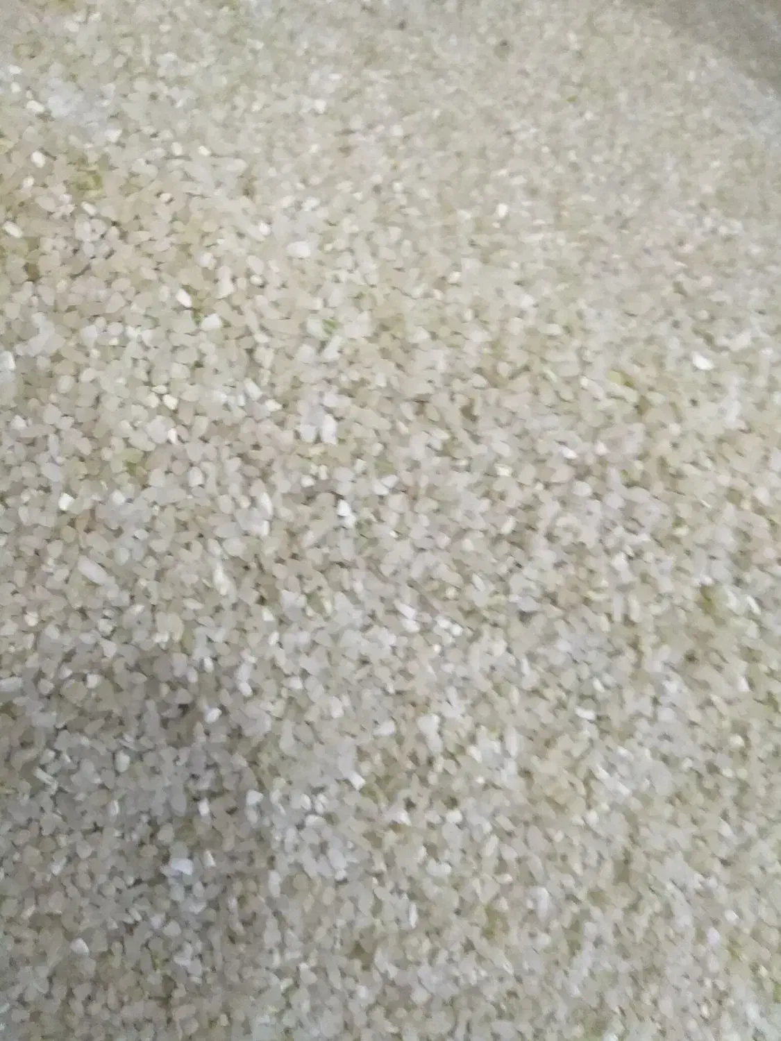 فروش،خورده برنج کامفیروز،درشت|عمدهفروشی|مرودشت, ابوذر شمالی|دیوار