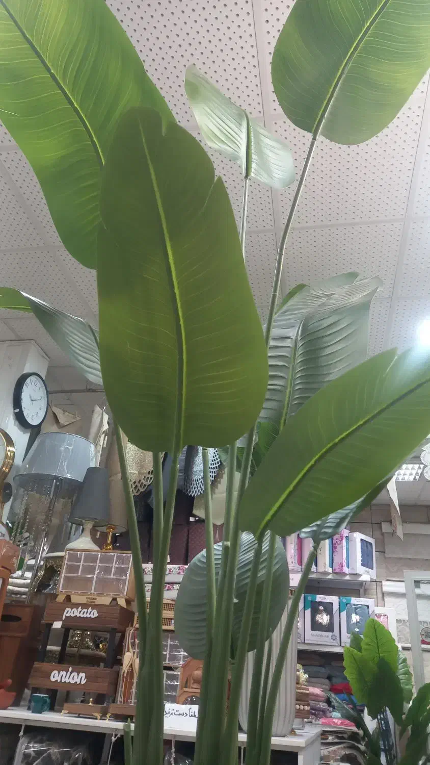 گل مصنوئی|گل مصنوعی|کبودرآهنگ, |دیوار