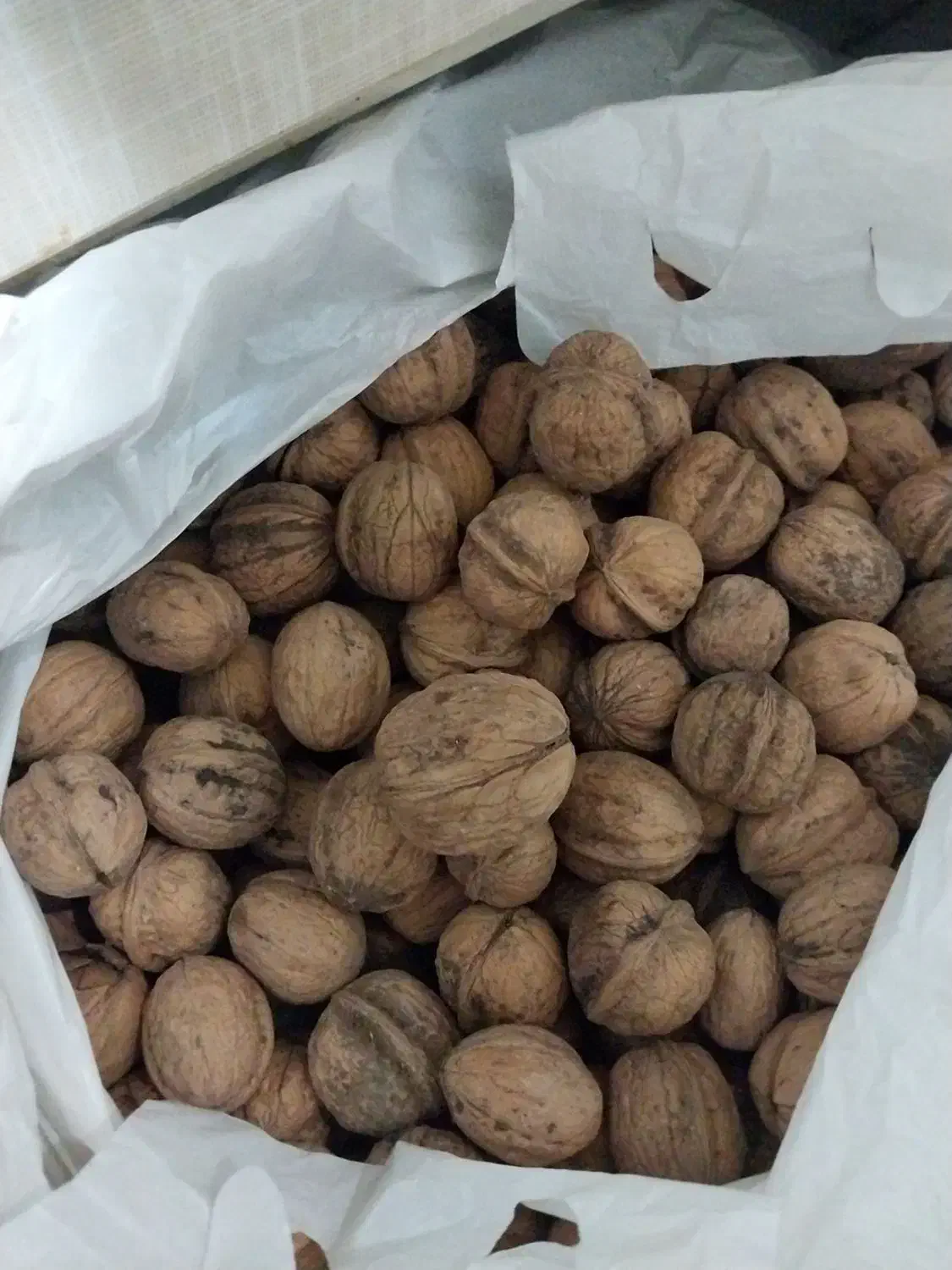 گردو|خوردنی و آشامیدنی|تهران, ائمه اطهار|دیوار