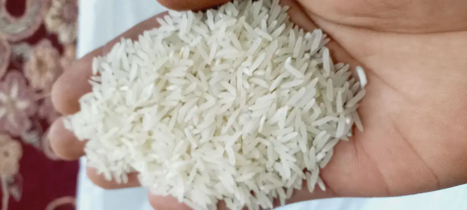 فجر سوزنی|خوردنی و آشامیدنی|سنگدوین, |دیوار