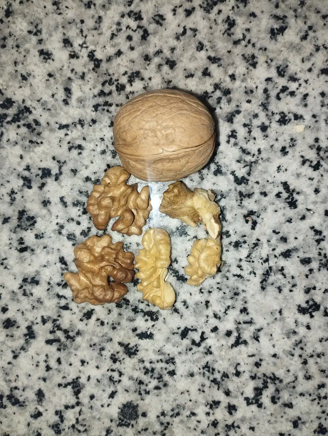 گردوکاغذی ایرانی|خوردنی و آشامیدنی|شیراز, شهرک سعدی|دیوار