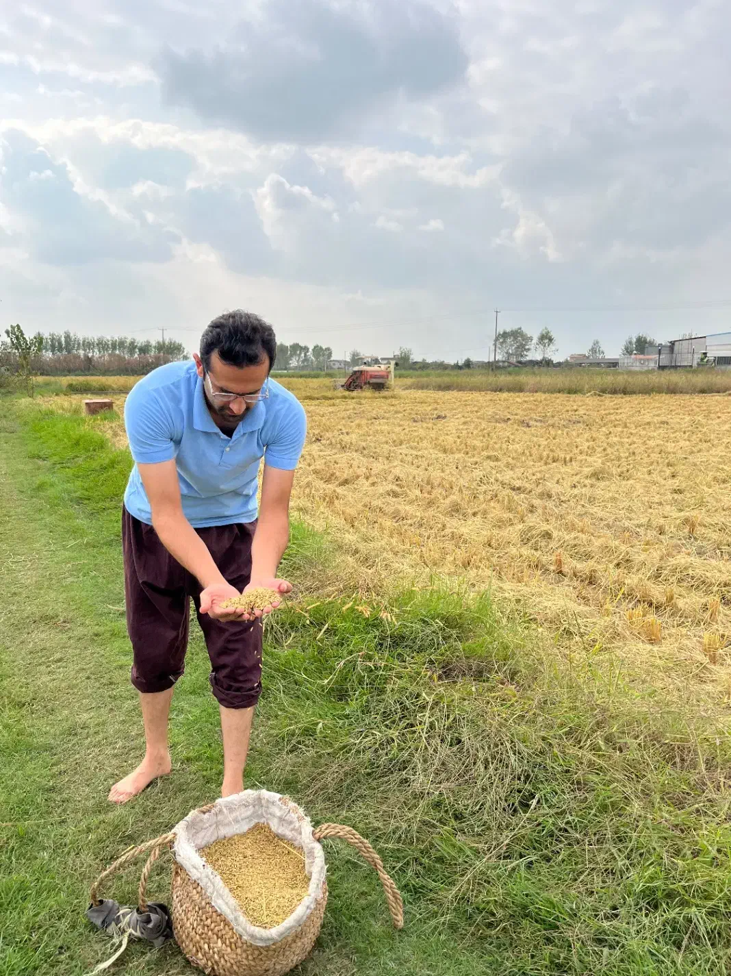 طارم لوکس کشت پاییز|خوردنی و آشامیدنی|تهران, منیریه|دیوار