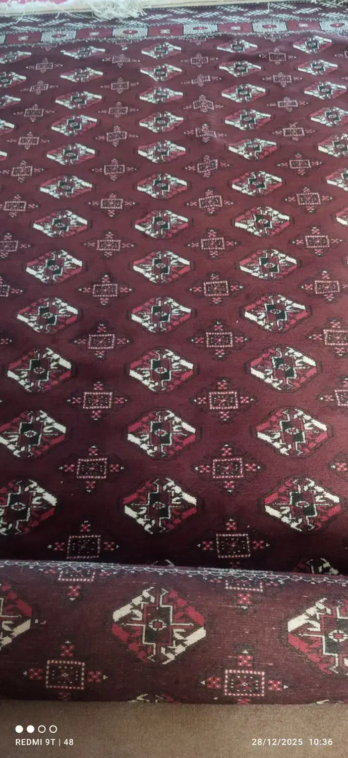 فرش دستبافت|فرش|گنبد کاووس, |دیوار