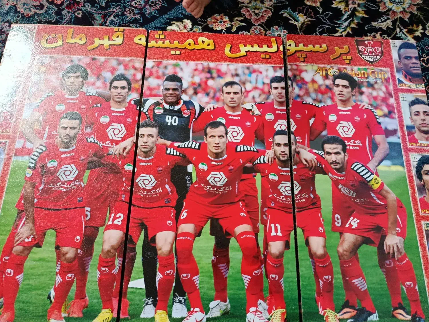 عکس شاسی ورزشی|تابلو، نقاشی، عکس|قم, دروازه چوبی|دیوار