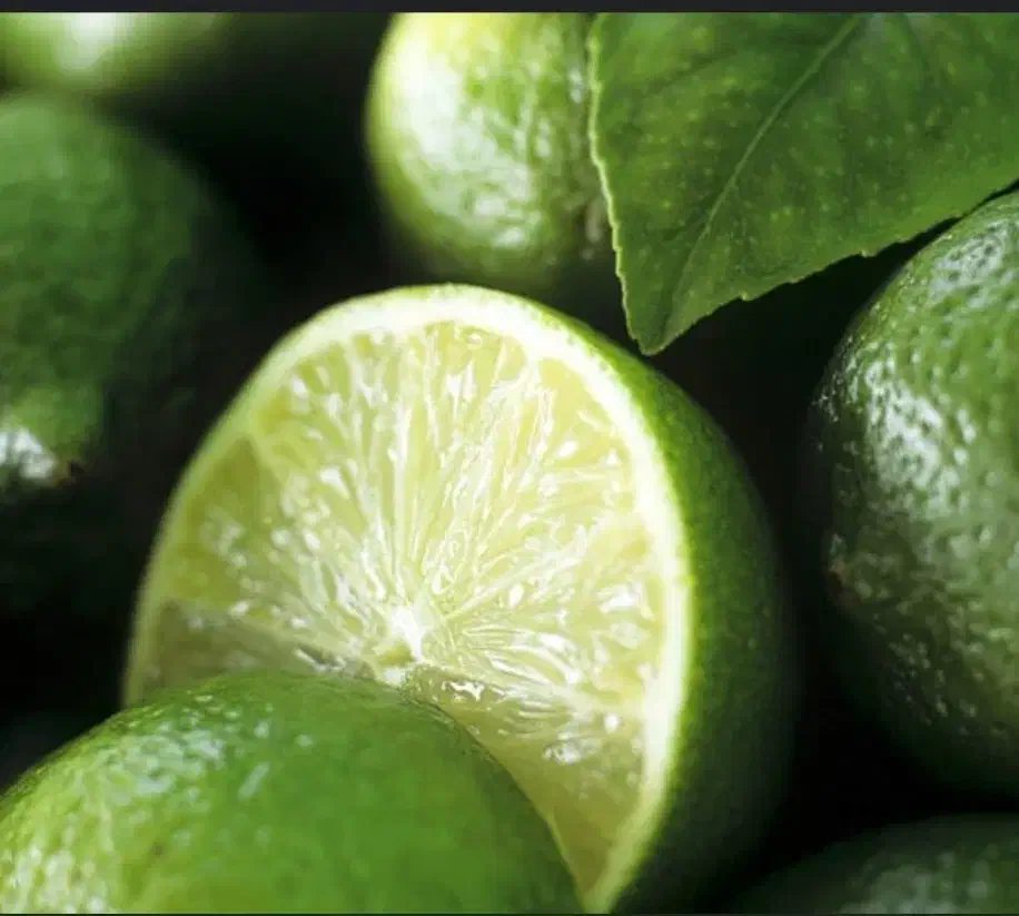 نارنج|خوردنی و آشامیدنی|رشت, پیرکلاچای|دیوار