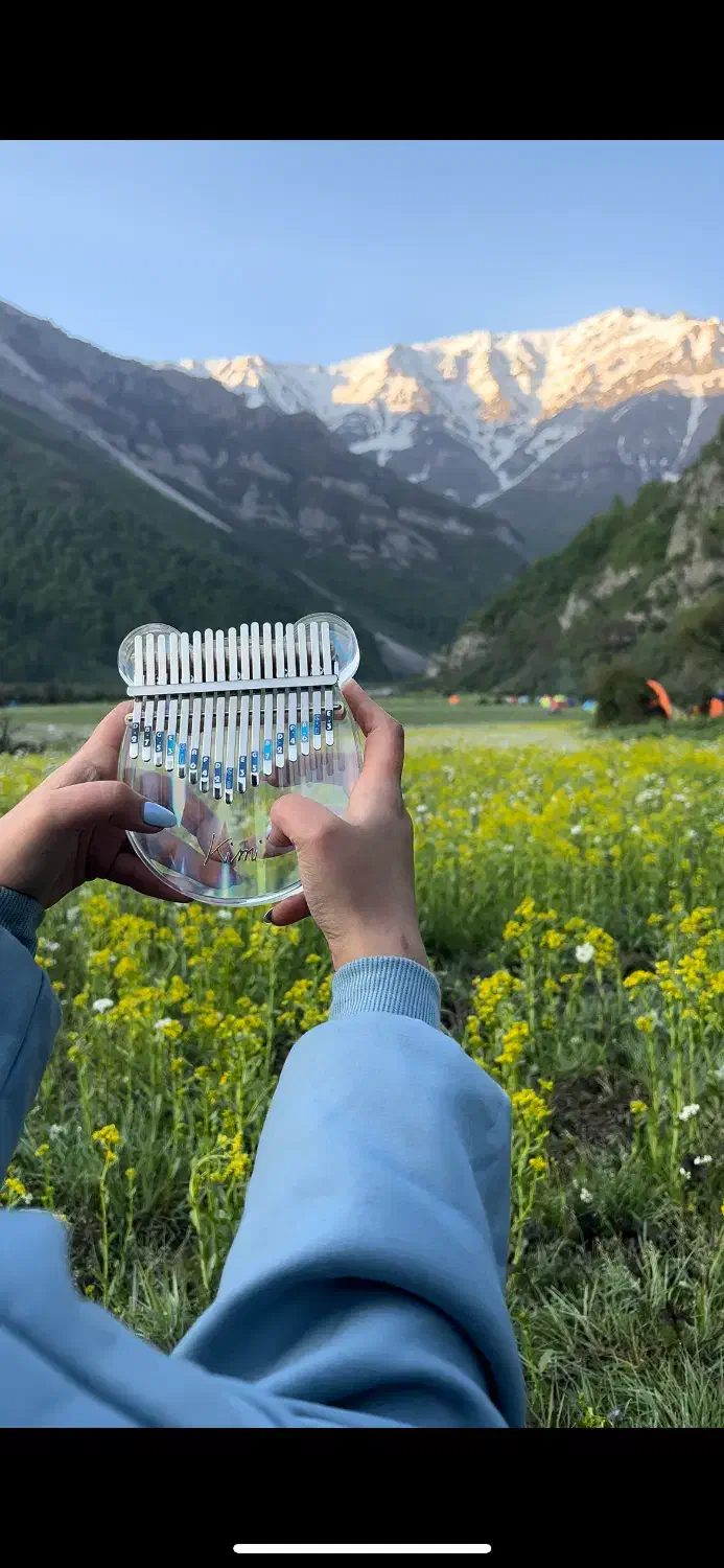 ساز کوبه ای کالیمبا|پیانو، کیبورد، آکاردئون|گرگان, |دیوار