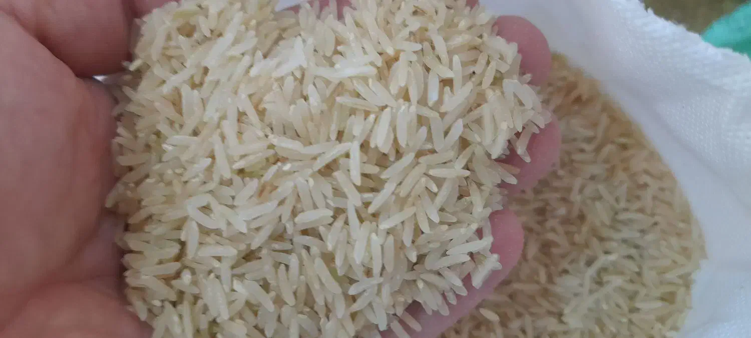 برنج قهوهای گرم گرم گرم گرم معطر گرم واقعی|خوردنی و آشامیدنی|اصفهان, رزمندگان|دیوار