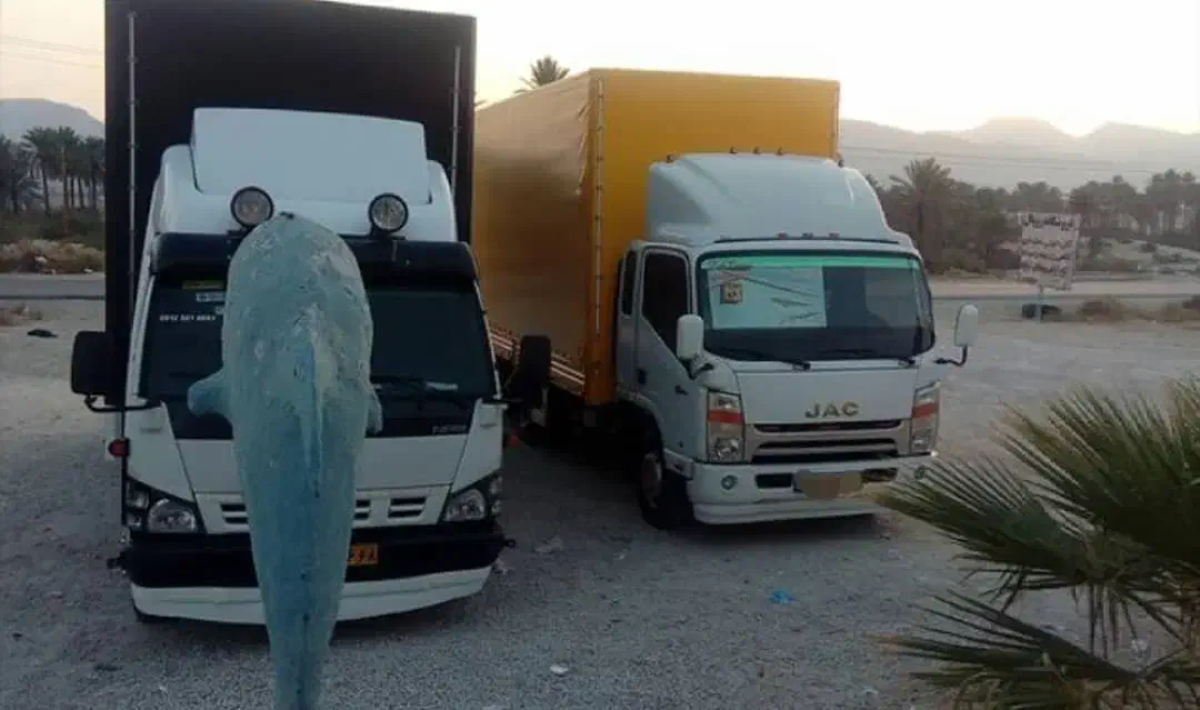 حمل نقل و جابجایی اثاثیه منزل کارگر|خدمات حمل و نقل|بناب, |دیوار