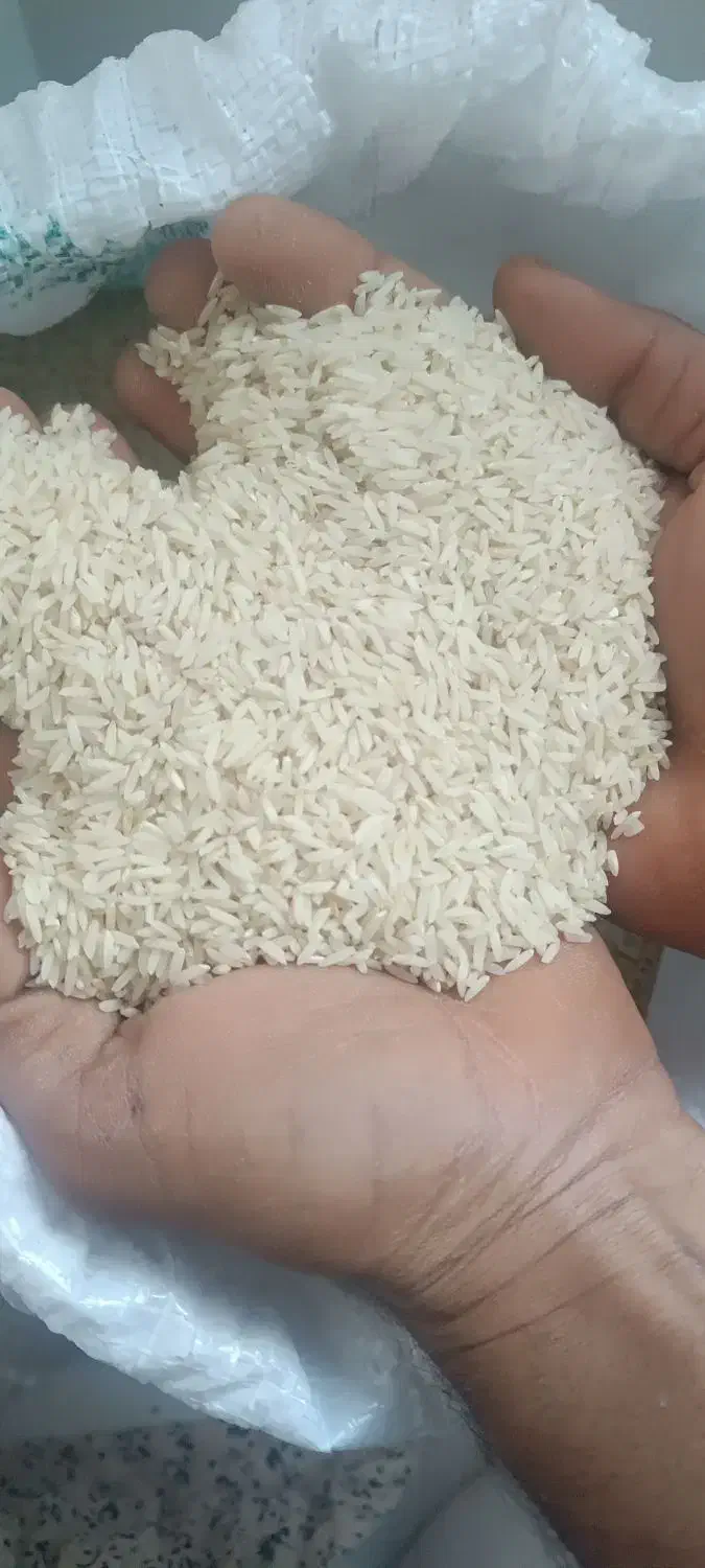 برنج دم سیاه درجه یک|خوردنی و آشامیدنی|آق قلا, |دیوار