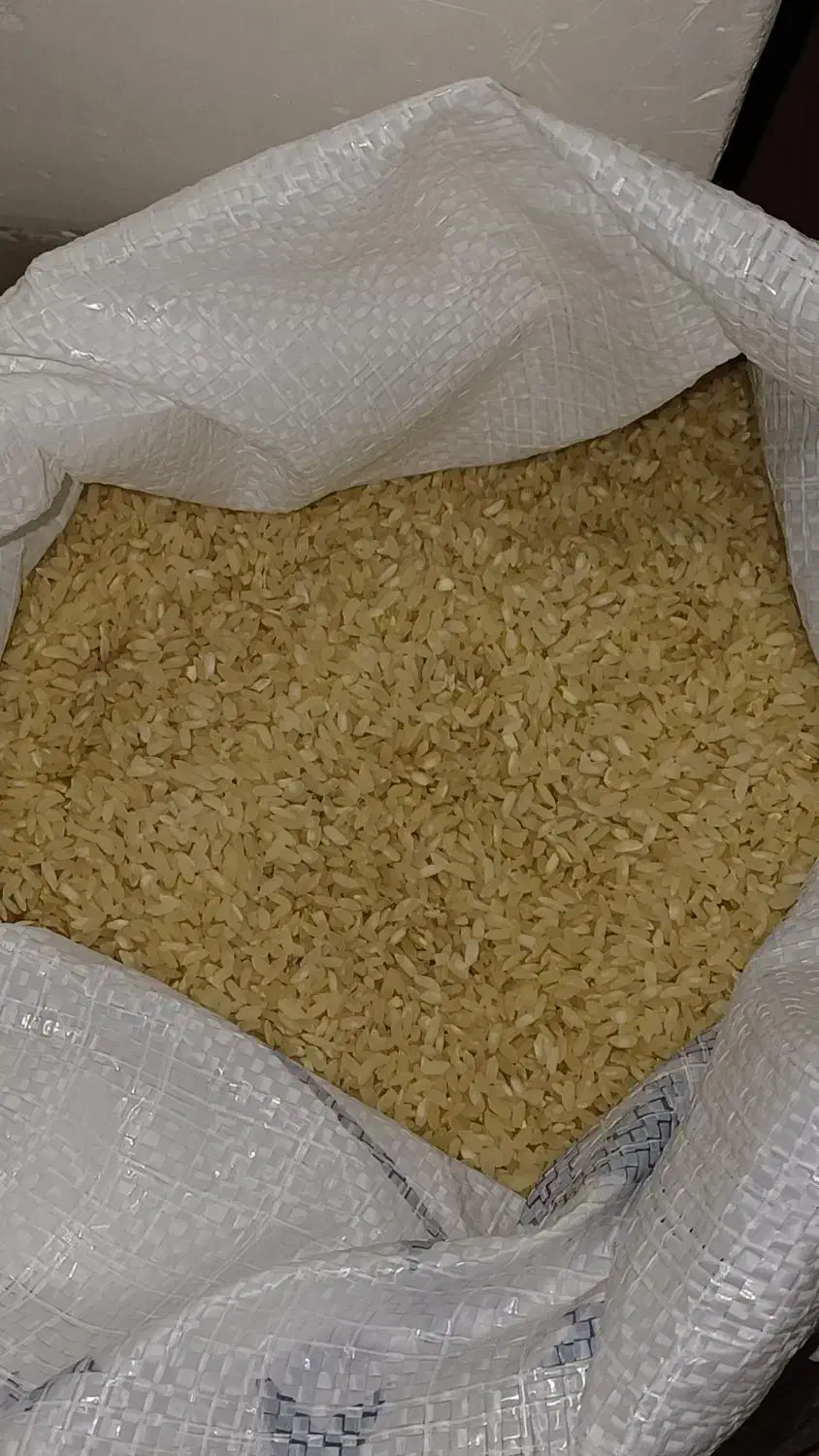 برنج کامفیروز|خوردنی و آشامیدنی|شیراز, شهرک قمشه|دیوار