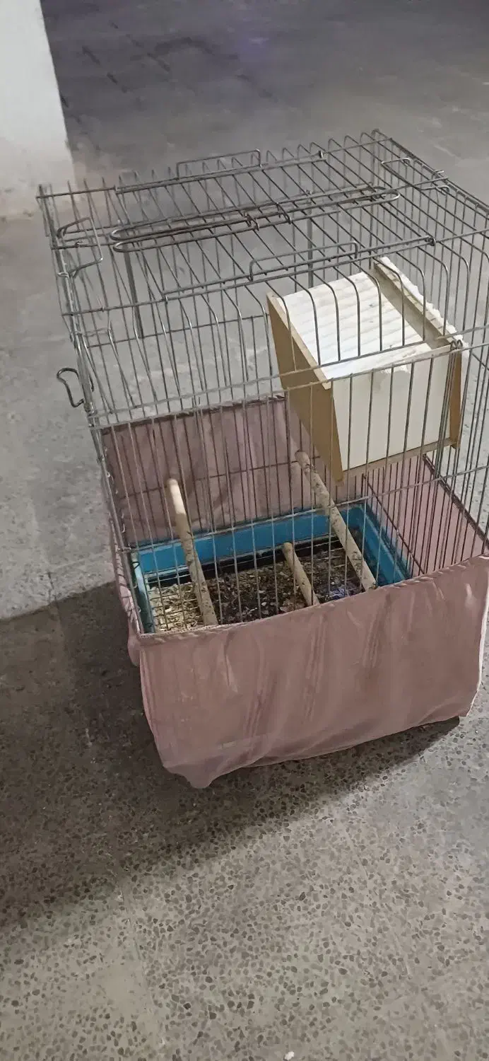 قفس پرنده سایز بزرگ|لوازم جانبی حیوانات|فردیس, شهرک ۱۱۰|دیوار