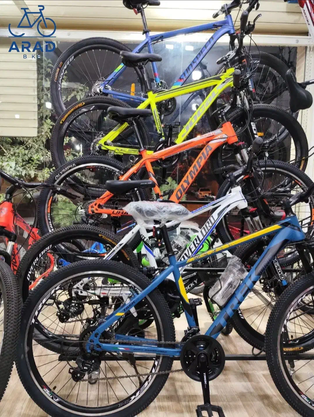 فروشگاه و نمایشگاه تخصصی آراددوچرخ|دوچرخه، اسکیت، اسکوتر|دلیجان, |دیوار