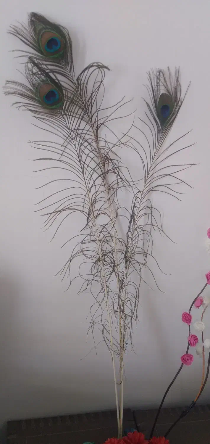 شاخه گل|گل مصنوعی|ایلام, |دیوار