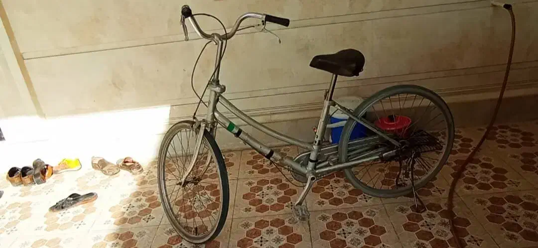 دوچرخه|دوچرخه، اسکیت، اسکوتر|بندر ماهشهر, |دیوار