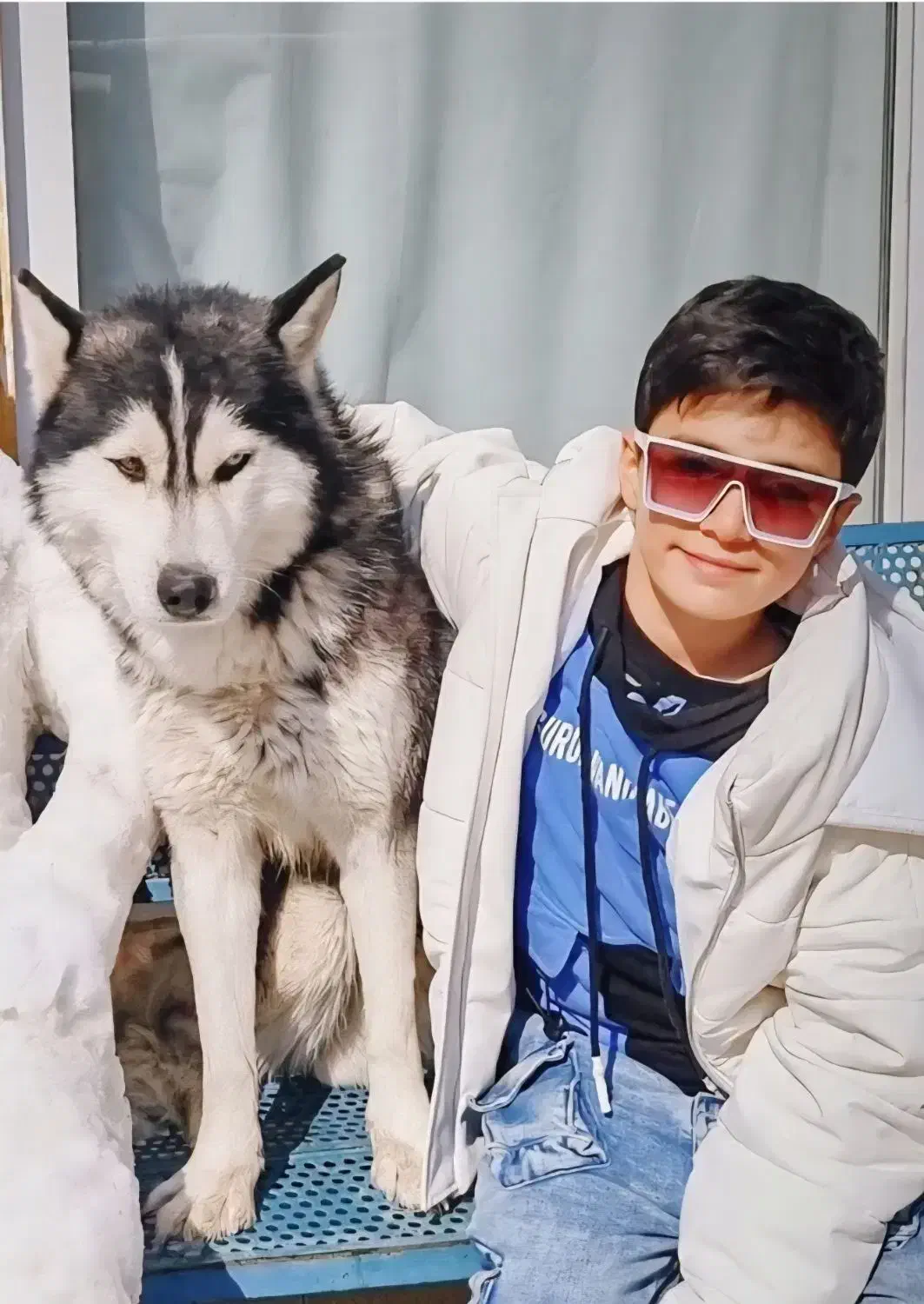 سگ هاسکی گم شده|حیوانات|مشهد, شهید قربانی|دیوار