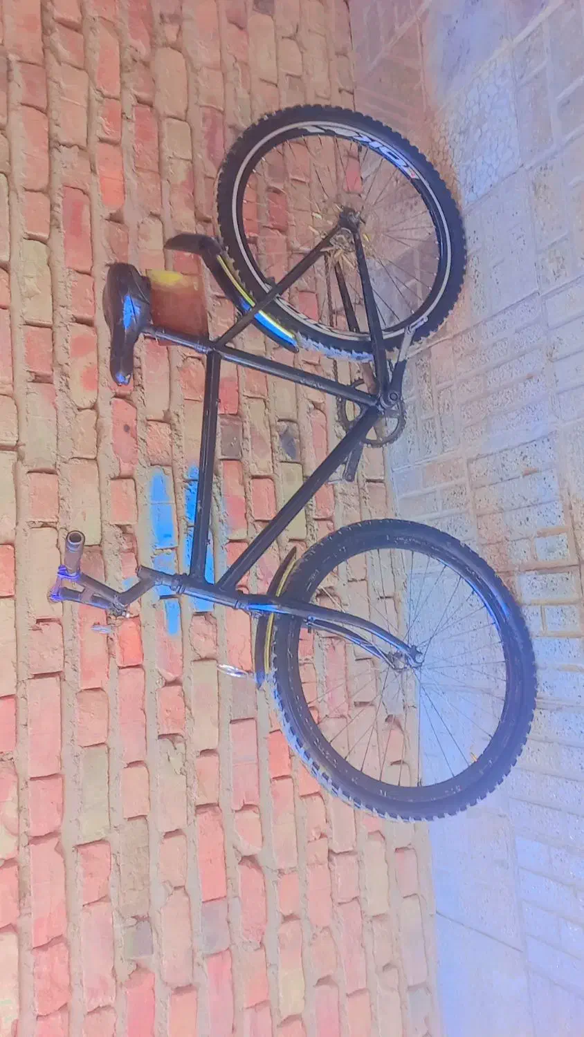 دوچرخه|دوچرخه، اسکیت، اسکوتر|ایرندگان, |دیوار