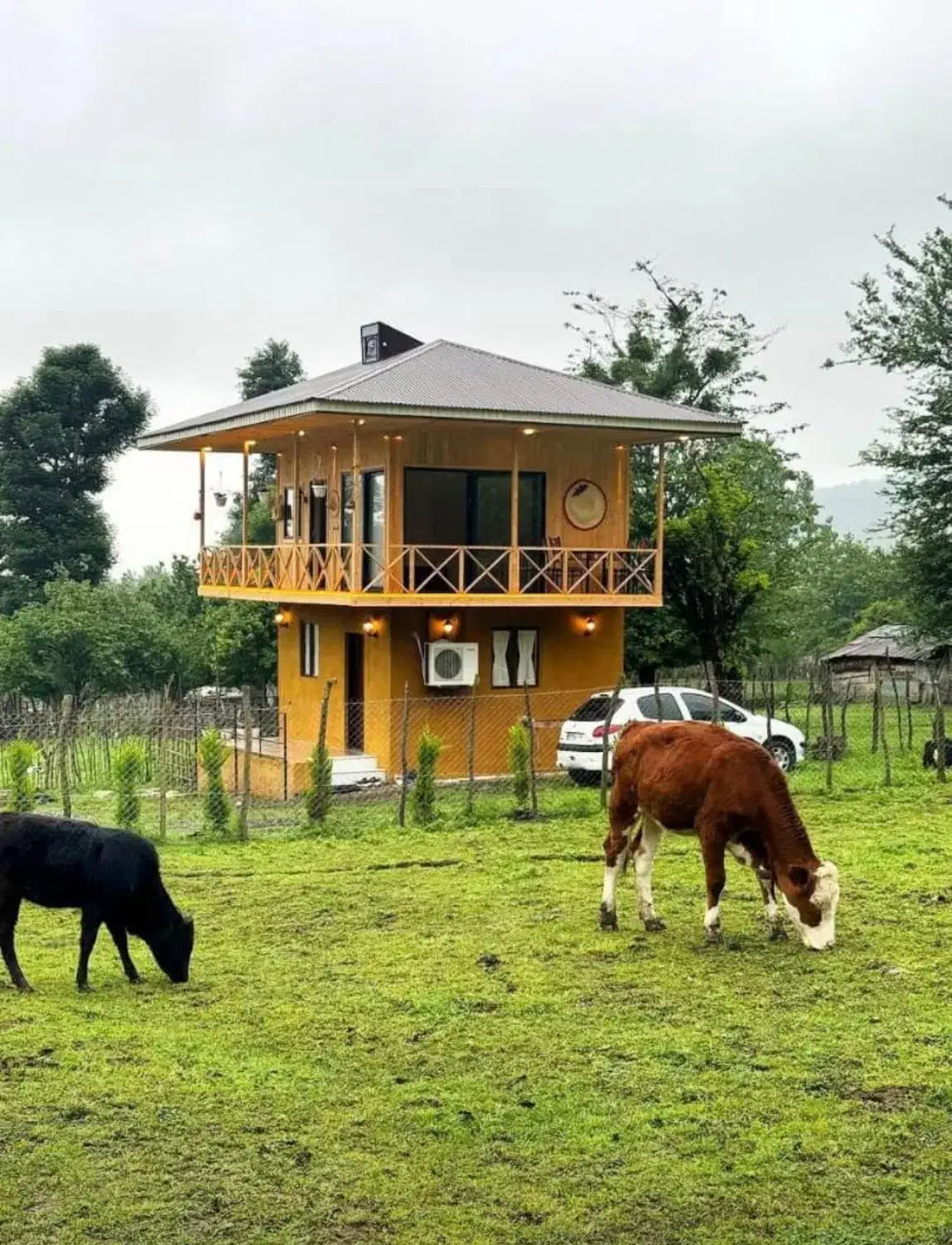 کلبه جنگلی|اجارهٔ کوتاهمدت ویلا و باغ|ماسال, |دیوار