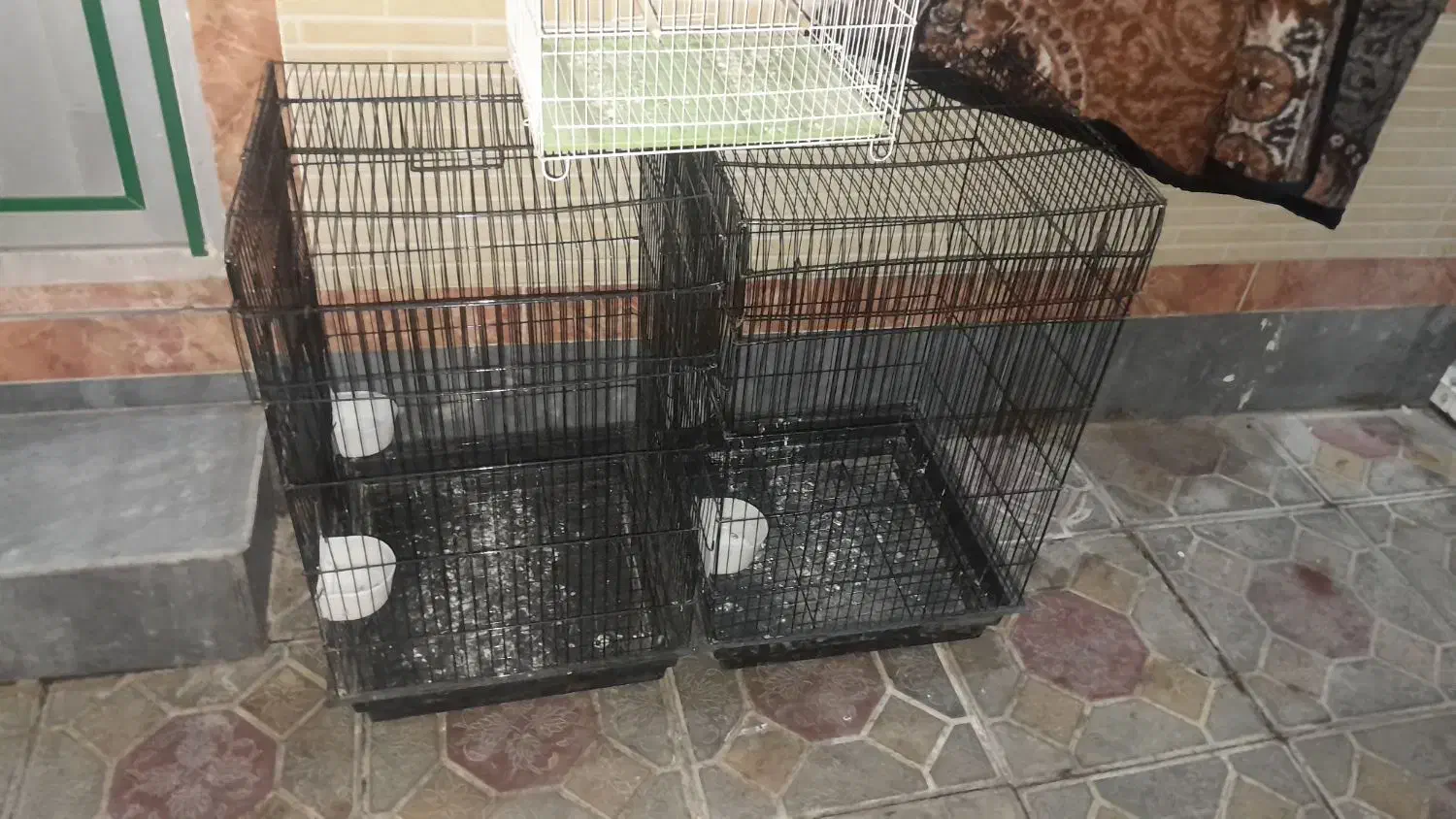 قفس کاسکو پرنده|لوازم جانبی حیوانات|آذرشهر, |دیوار