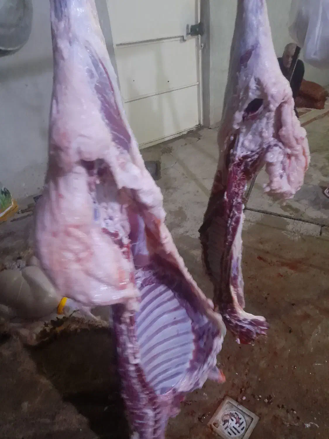 گوشت بره کبابی ۶۹۰|خوردنی و آشامیدنی|مسجد سلیمان, |دیوار