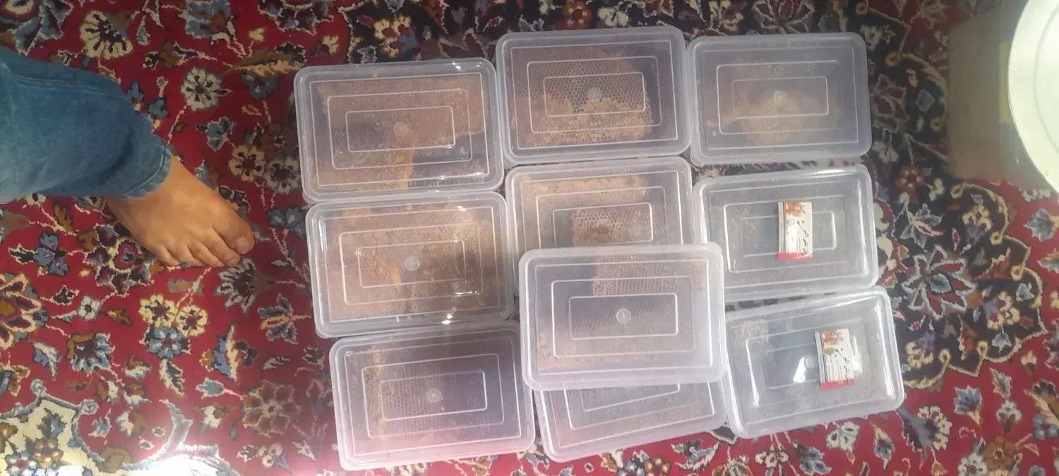 عسل درمانی|خوردنی و آشامیدنی|تیکمه داش, |دیوار