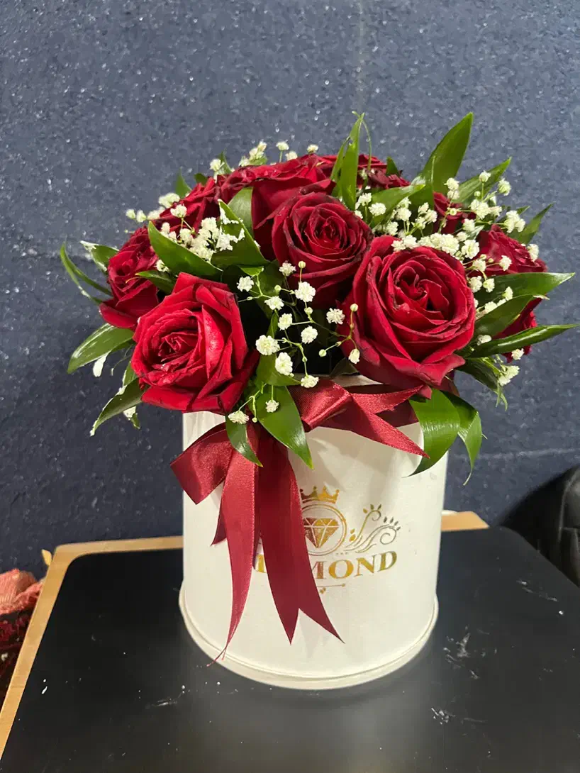 گل رز|گل و گیاه طبیعی|مشهد, آبکوه|دیوار