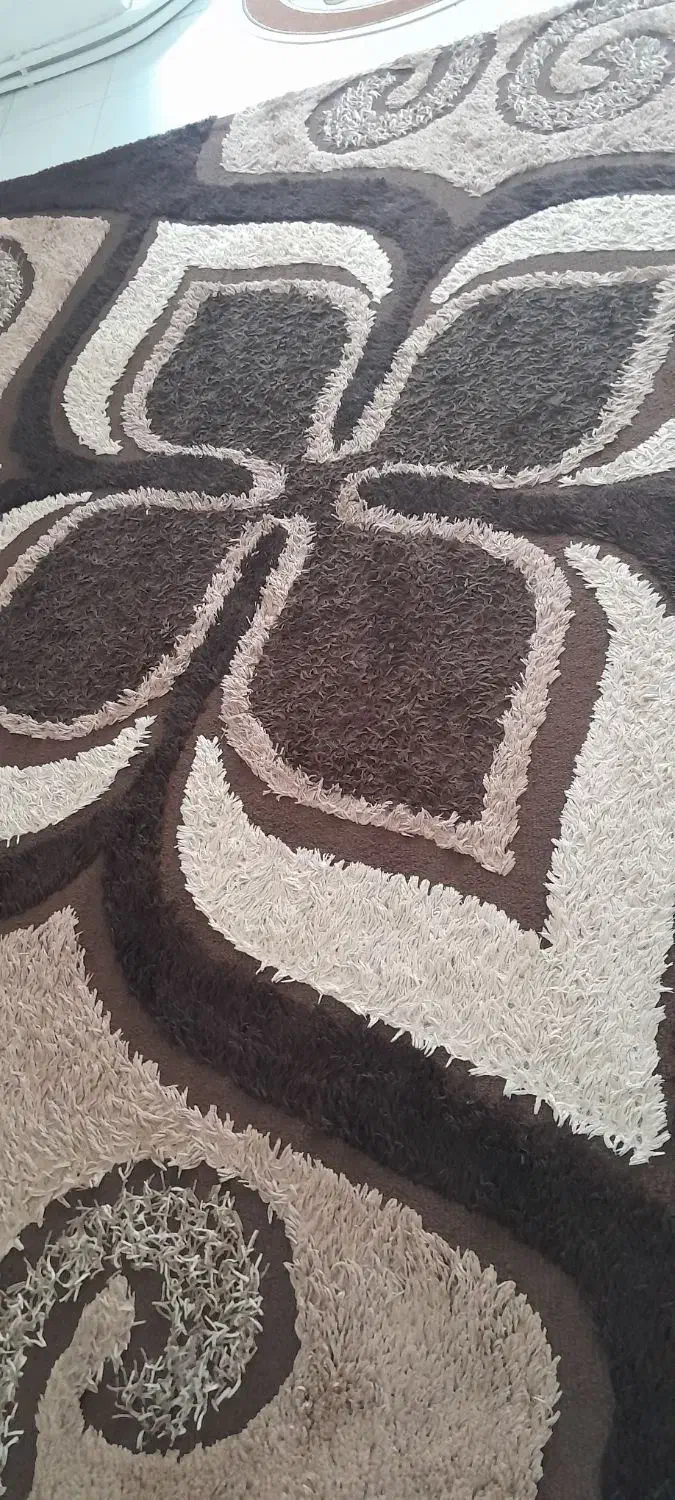 دوتخته فرش شگی|فرش|سنندج, |دیوار