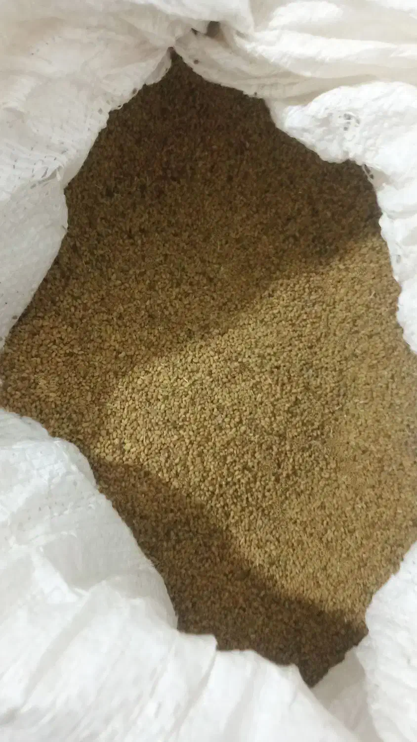 بذر یونجه درجه یک|خدمات باغبانی و درختکاری|میاندوآب, |دیوار