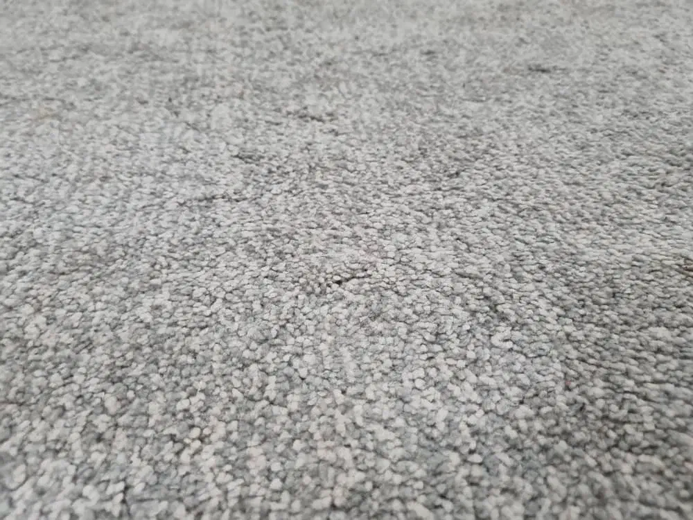 موکت|موکت|کرج, باغستان|دیوار