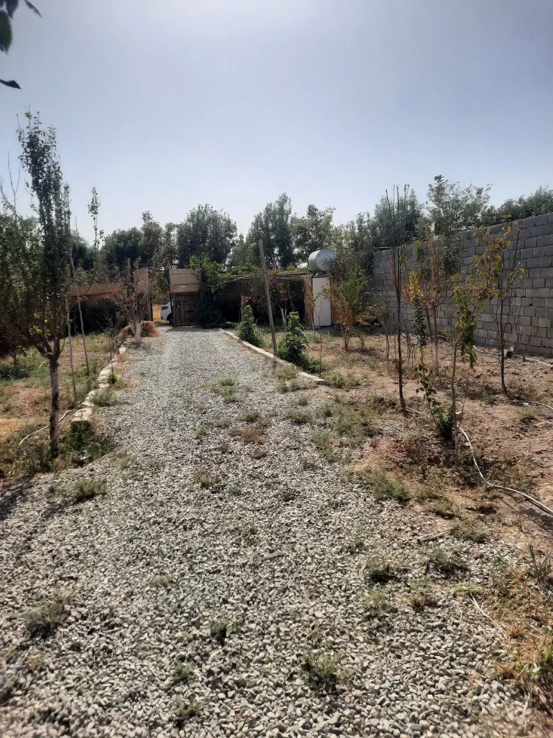 باغچه در خیابان اول کاشانک اسلامشهر|فروش زمین و ملک کلنگی|اسلامشهر, کاشانک|دیوار