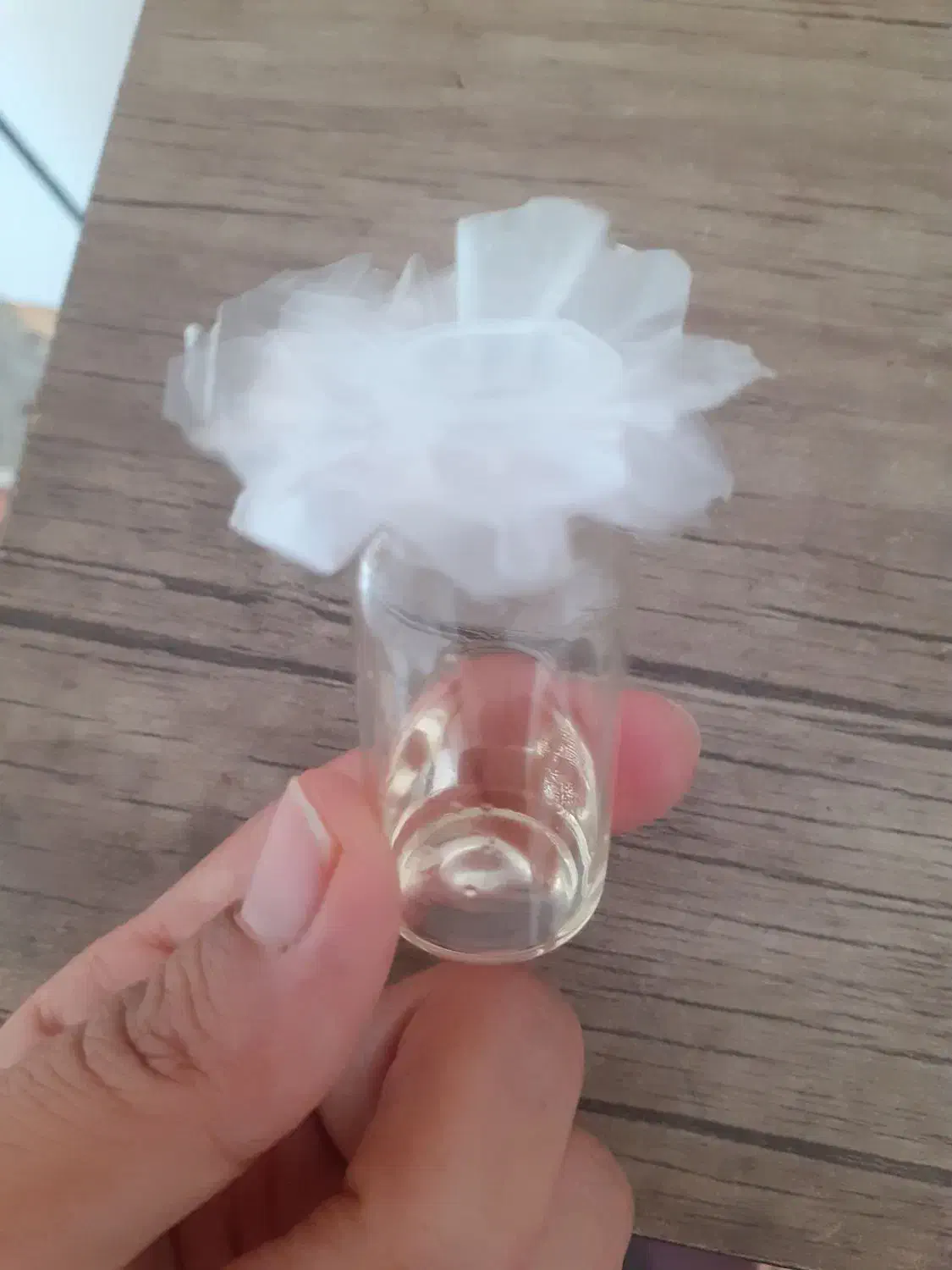 روغن گیاهی برای رفع زگیل گوشتی دست|آرایشی، بهداشتی، درمانی|شیراز, دانشگاه شیراز|دیوار