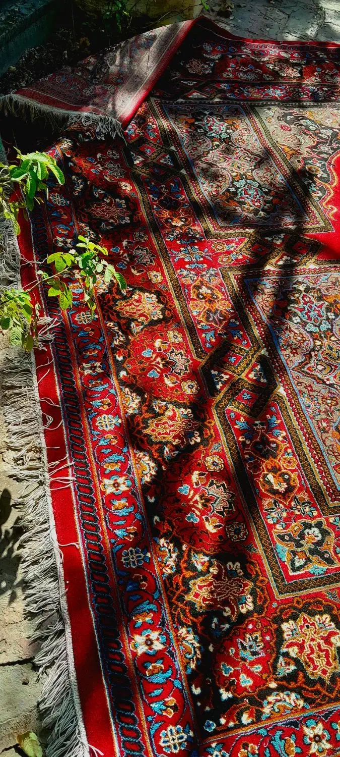 جفت ۱۲متری|فرش|گلبهار, شهر جدید گلبهار|دیوار