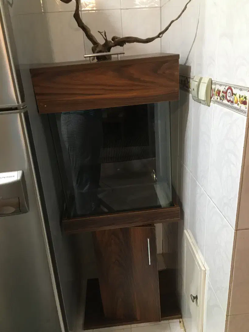 آکواریوم|ماهی|تهران, دانشگاه شریف|دیوار