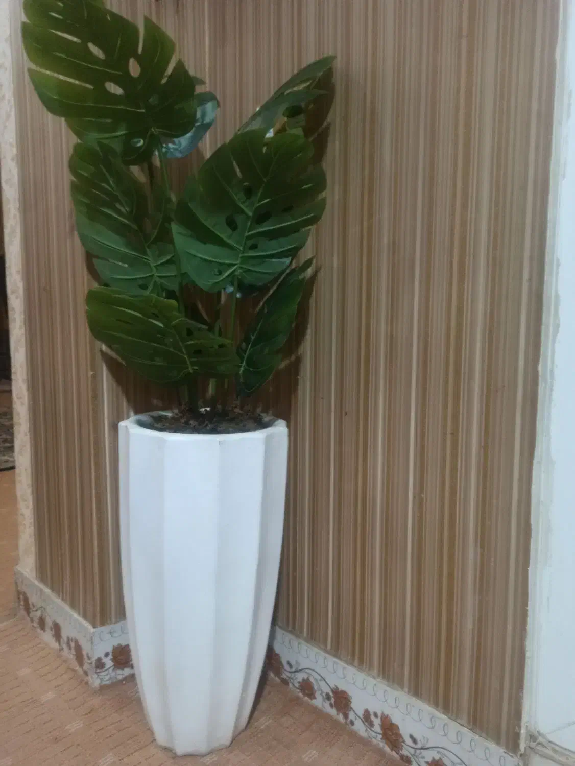 درختچه برگ انجیری نو وارداتی|گل مصنوعی|یاسوج, |دیوار