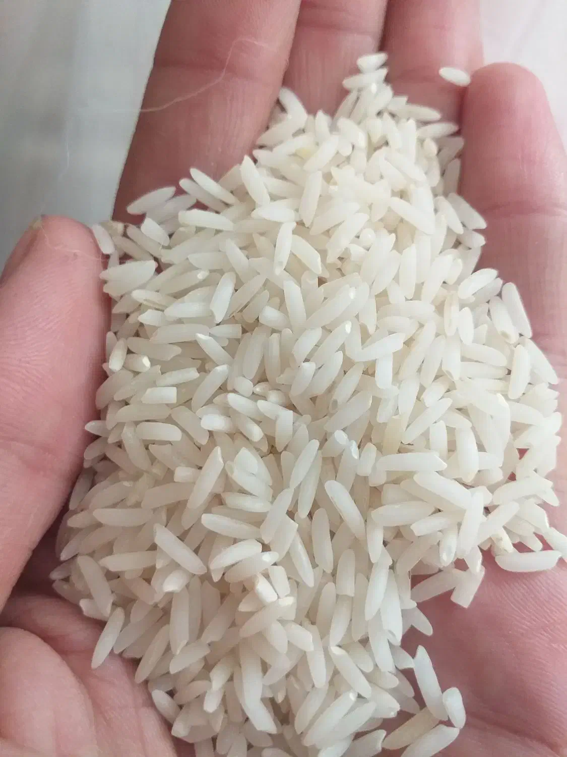 برنج طارم معطر به شرط علا 5 ستاره قیمت کاملا ویژه|خوردنی و آشامیدنی|کرج, کوی مهر|دیوار