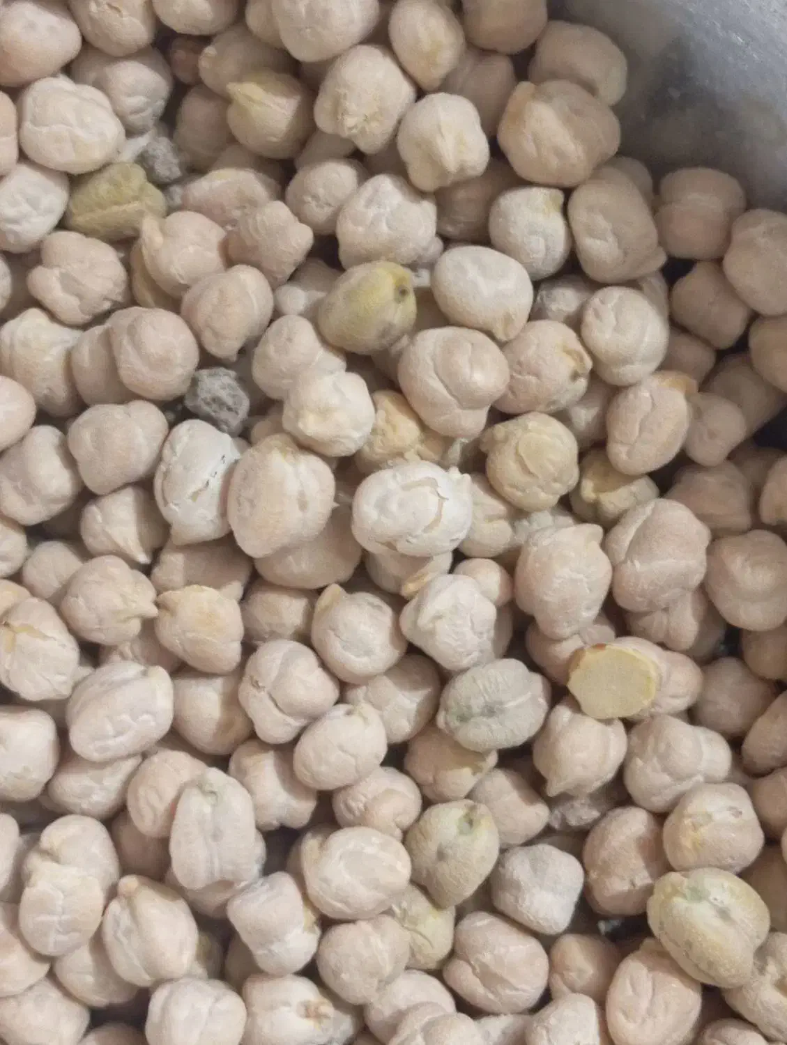 نخد اعلا کرمانشاه|خوردنی و آشامیدنی|تهران, شهرک طالقانی|دیوار