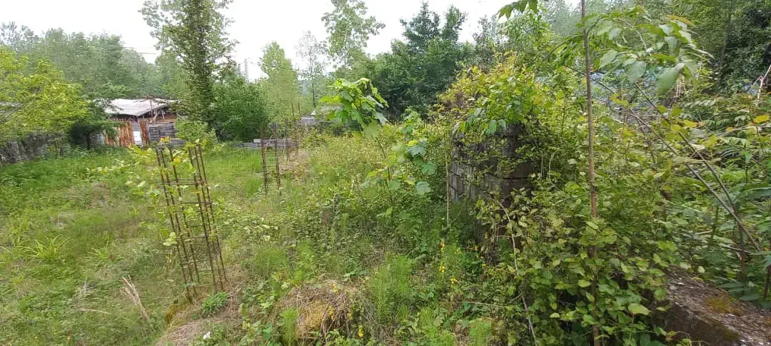 زمین با جواز ساخت|فروش زمین و ملک کلنگی|نشتارود, |دیوار