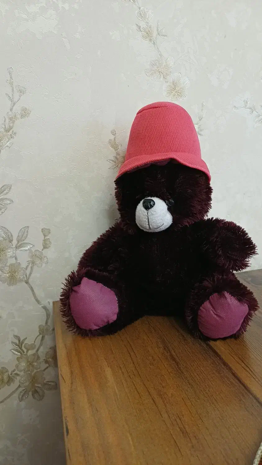 خرس|اسباب‌‌بازی|زنجان, |دیوار