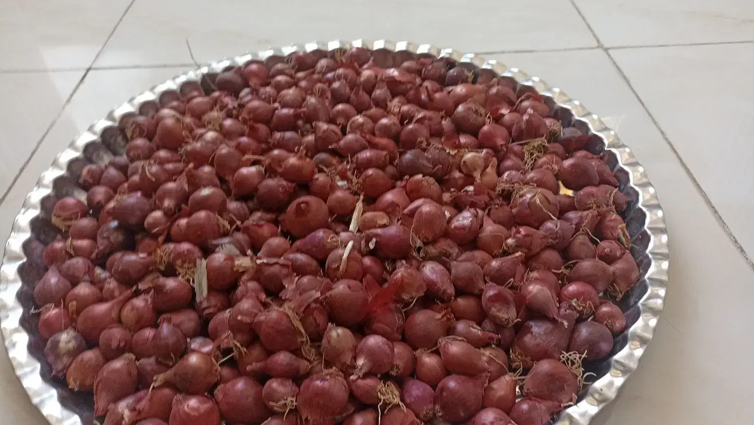 پیاز ریز|خوردنی و آشامیدنی|گوآور, |دیوار