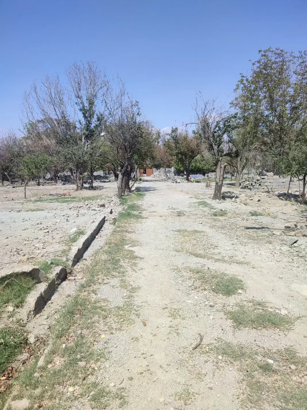 باغچه ۵۰۰ متری زیبادشت زیر قیمت|فروش زمین و ملک کلنگی|محمدشهر, زیبادشت|دیوار