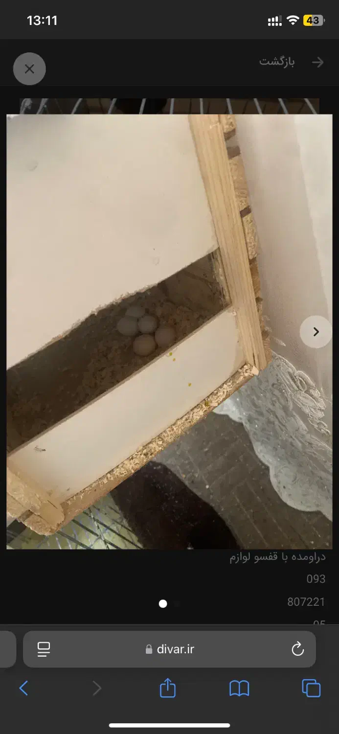 عروس|اسباب‌بازی بچه|هشتگرد, فاز ۷ مهستان|دیوار