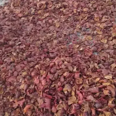 پوست انار خشک|عمدهفروشی|بن, |دیوار